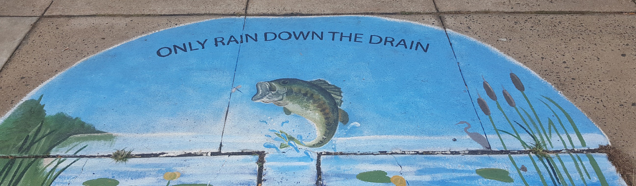 only rain down the drain