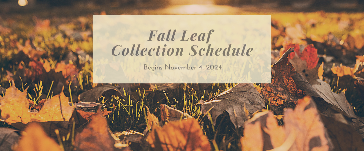 2024 Fall Leaf Collection