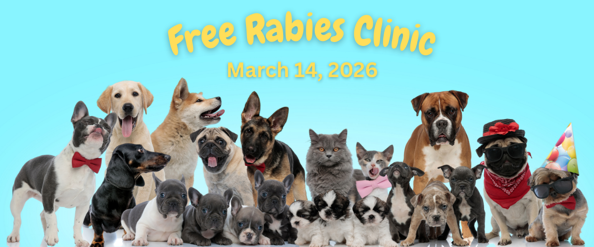 Free Rabies Clinic at the Municipal Garage