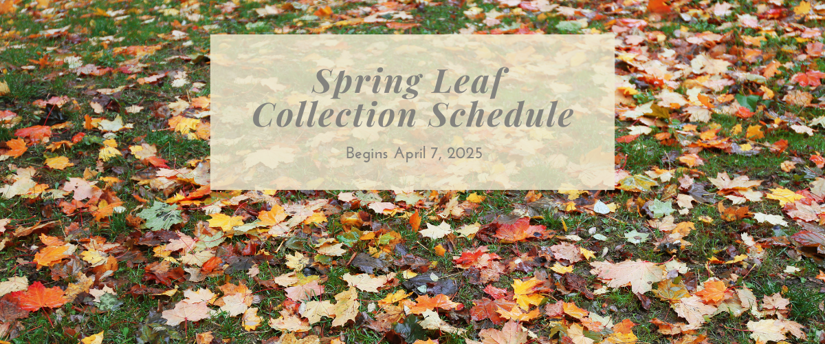 2025 Spring Leaf Collection