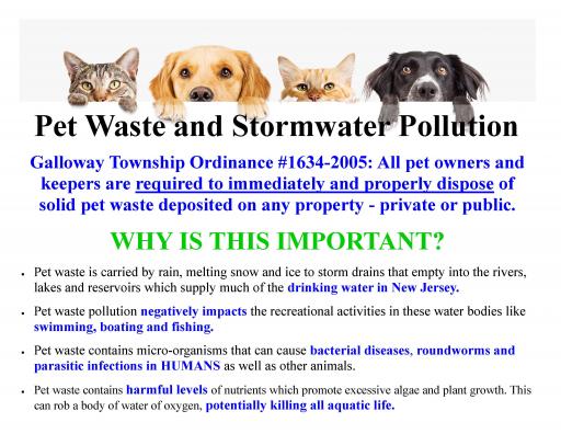 Stormwater - Pet Waste & Water Pollution Page 2