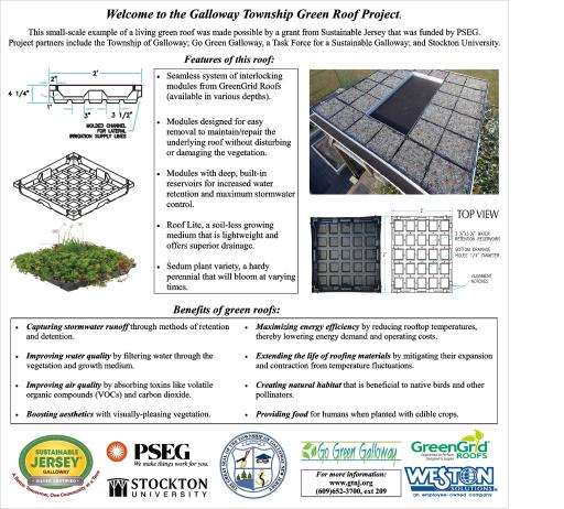 Green Roof Flyer II