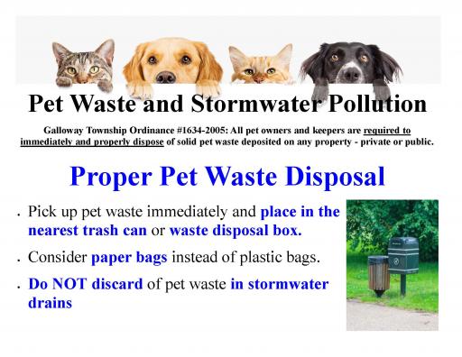 Stormwater - Pet Waste and Water Pollution Page 3