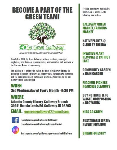 Go Green Galloway - Green Team Flyer